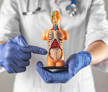 Understanding Nutrient Deficiencies in IBD