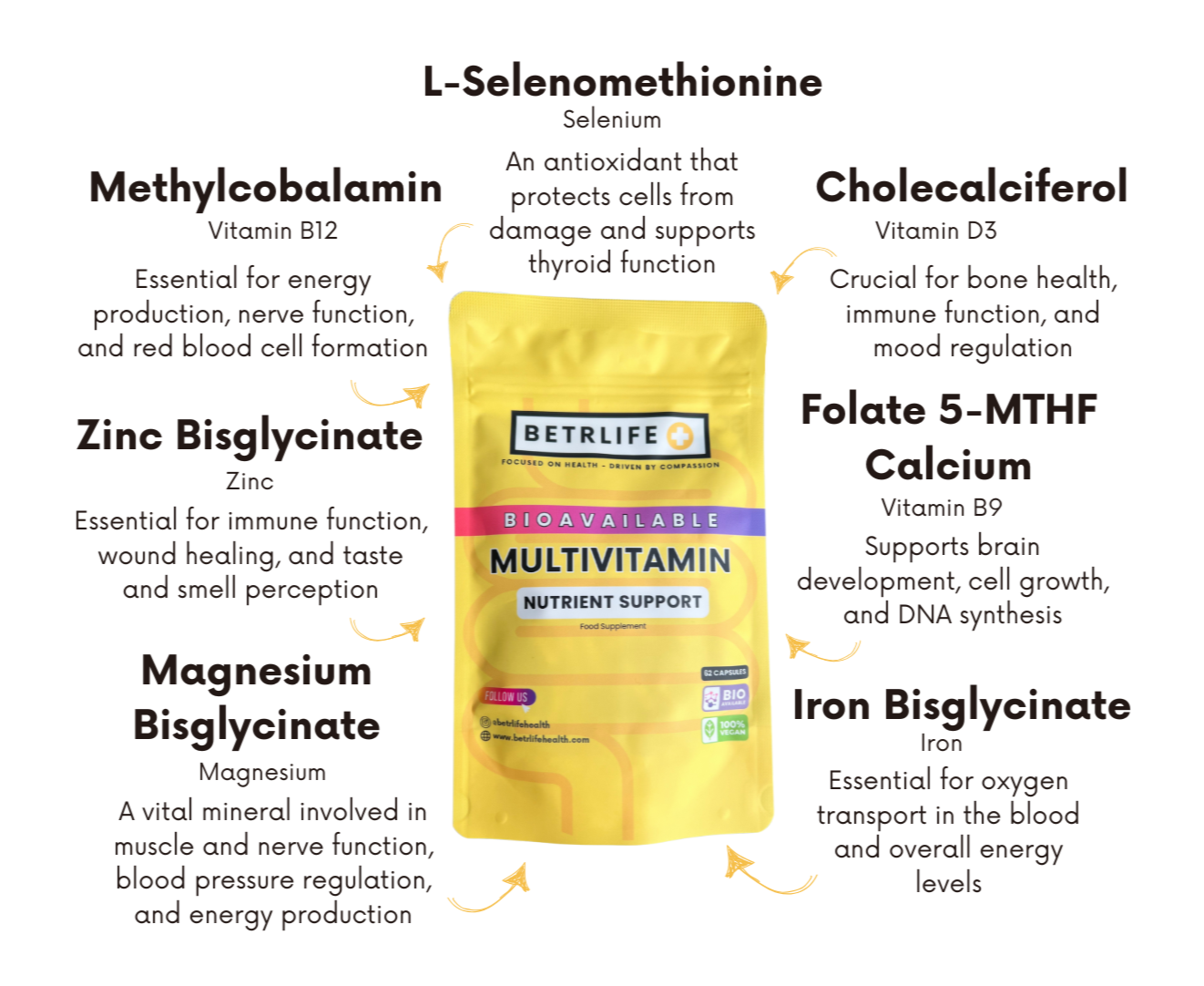 Why Bioavailability Matters in Your Daily Multivitamin